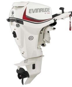 2018 Evinrude E-TEC 25 HP E25DTSL Outboard Motor