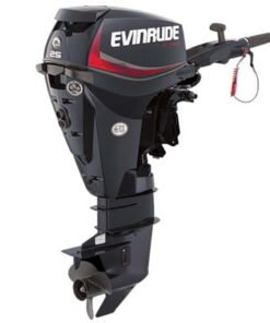 2018 Evinrude E-TEC 25 HP E25GTEL Outboard Motor