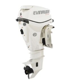 Evinrude E15HPGX E-TEC Outboard Motor