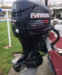 2002 Evinrude 115 HP 4-Cyl DFI 2-Stroke 20" (L) Outboard Motor